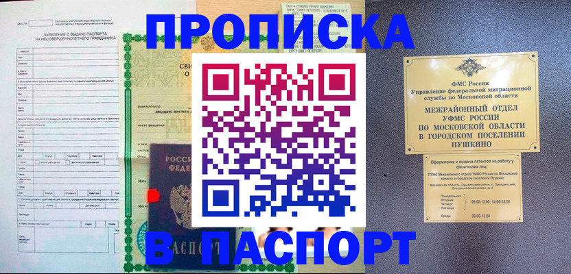 временная регистрация госуслуги в Гае